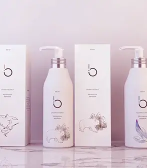 Shampoo Box Packaging